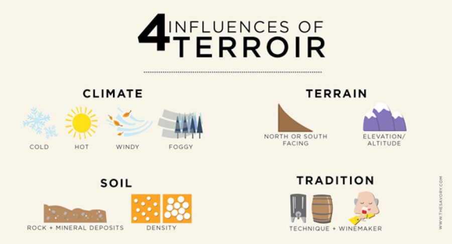 Terroir là gì