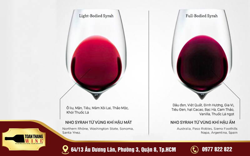 Syrah Giống nho shiraz