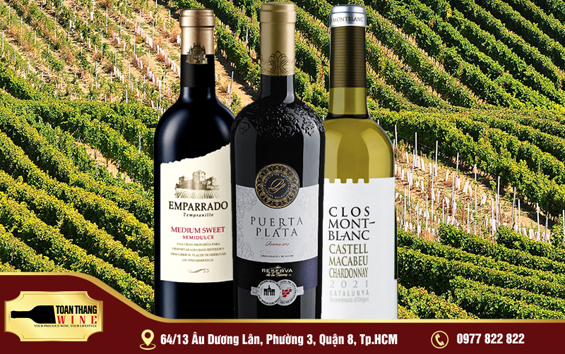đôi nét rượu vang tây ban nha