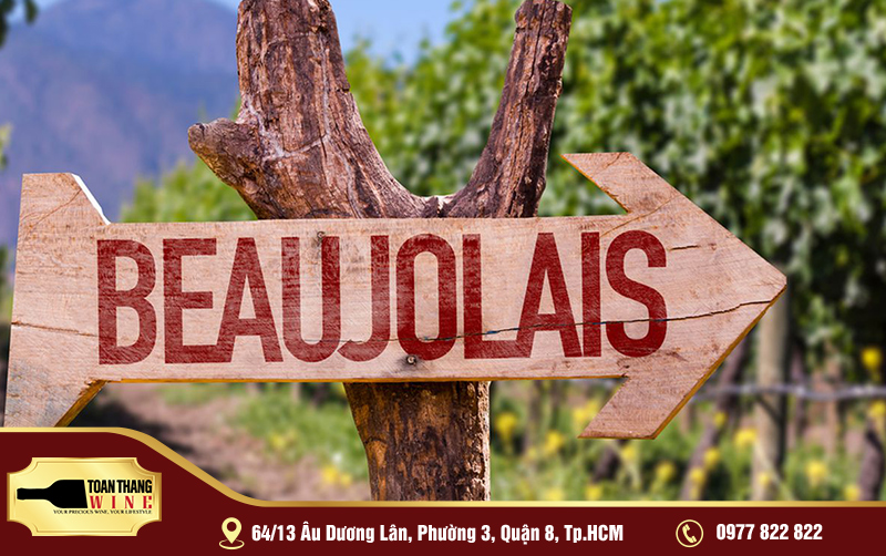 lễ hội rượu vang Beaujolais Nouveau
