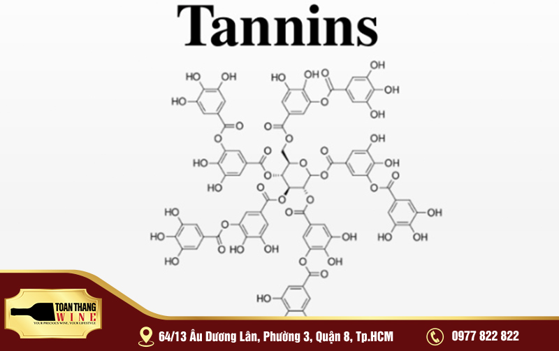 tannin la gì