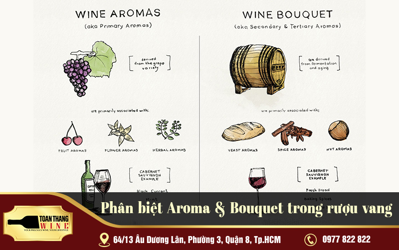 Phân biệt Aroma & Bouquet trong rượu vang