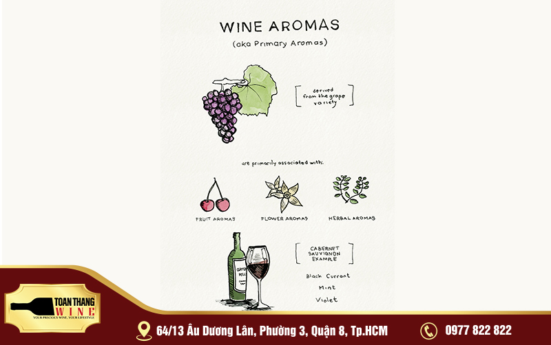 Phân biệt Aroma & Bouquet trong rượu vang