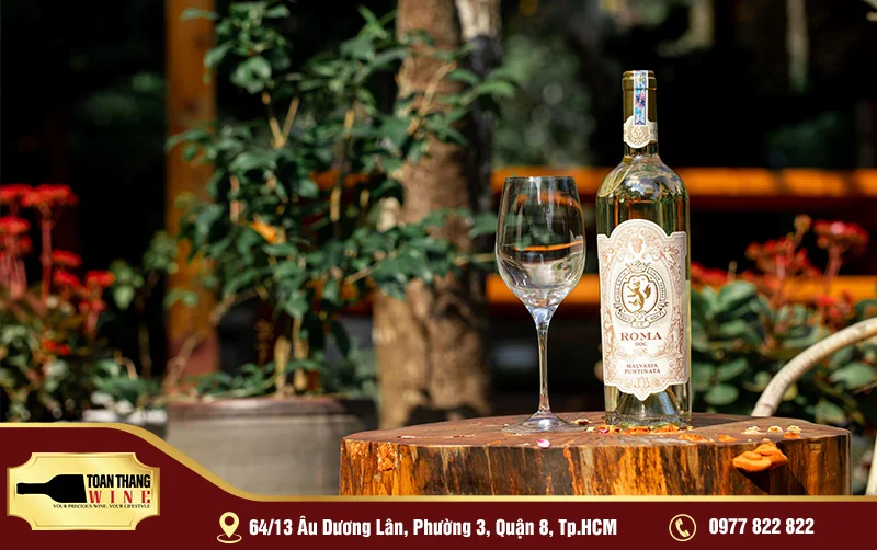 Giống Nho Malvasia: Hương Vị Ngọt Ngào Của Địa Trung Hải