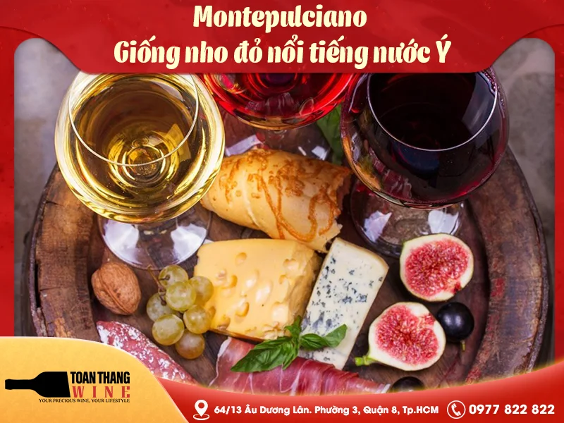 Montepulciano – Giống nho đỏ nổi tiếng nước Ý