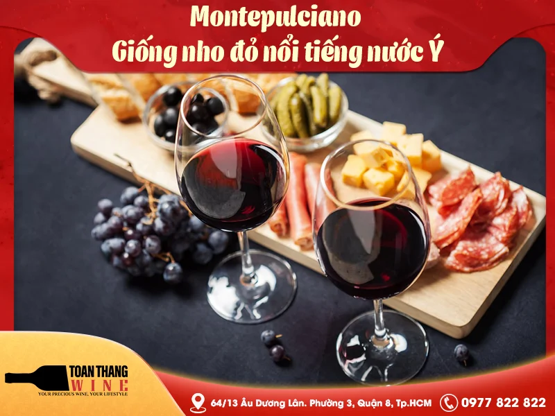 Montepulciano – Giống nho đỏ nổi tiếng nước Ý