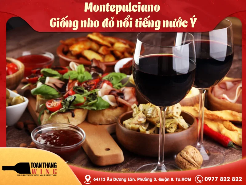 Montepulciano – Giống nho đỏ nổi tiếng nước Ý