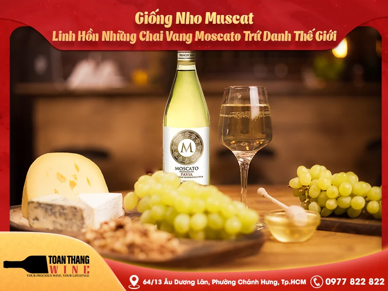 Giống Nho Muscat: Linh Hồn Những Chai Vang Moscato Trứ Danh Thế Giới