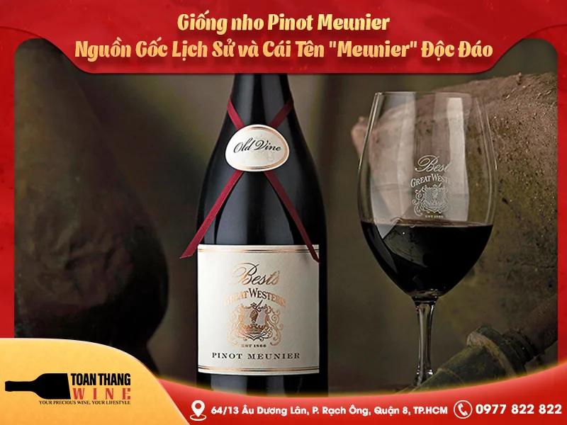 Giống nho Pinot Meunier: Lịch sử hình thành