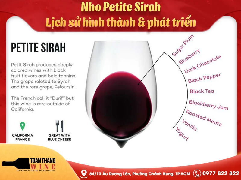 Nho Petite Sirah: Lịch sử hình thành & phát triển