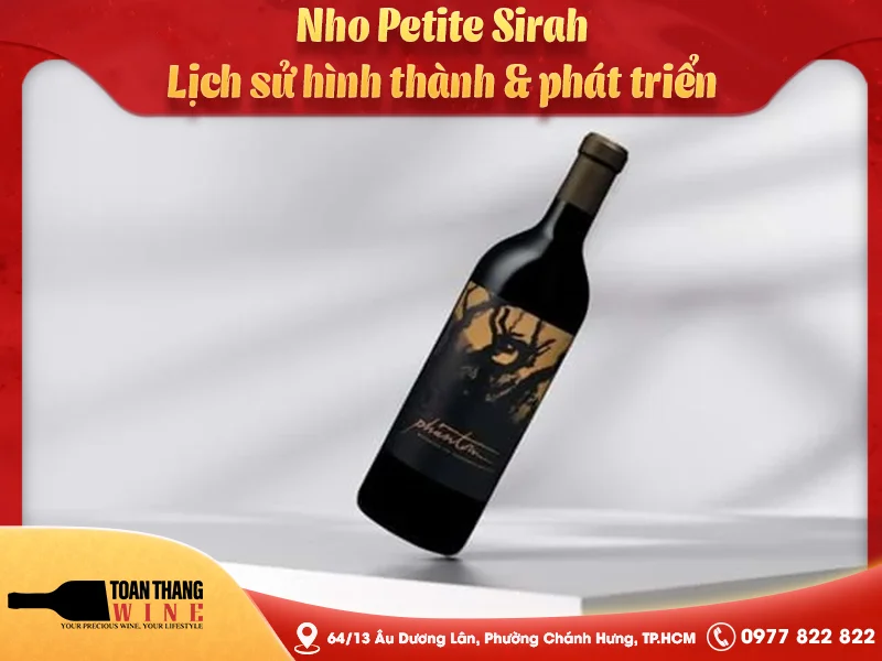 Nho Petite Sirah: Lịch sử hình thành & phát triển